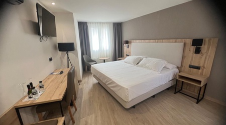  Hôtel ELE Acueducto Ségovie