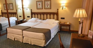 Chambre double Hôtel ELE Puente Romano Salamanca