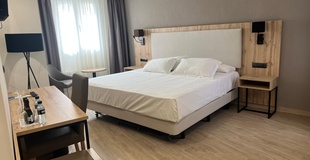 Chambre supérieure avec terrasse Hôtel ELE Acueducto Ségovie
